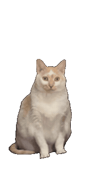 瓜瓜